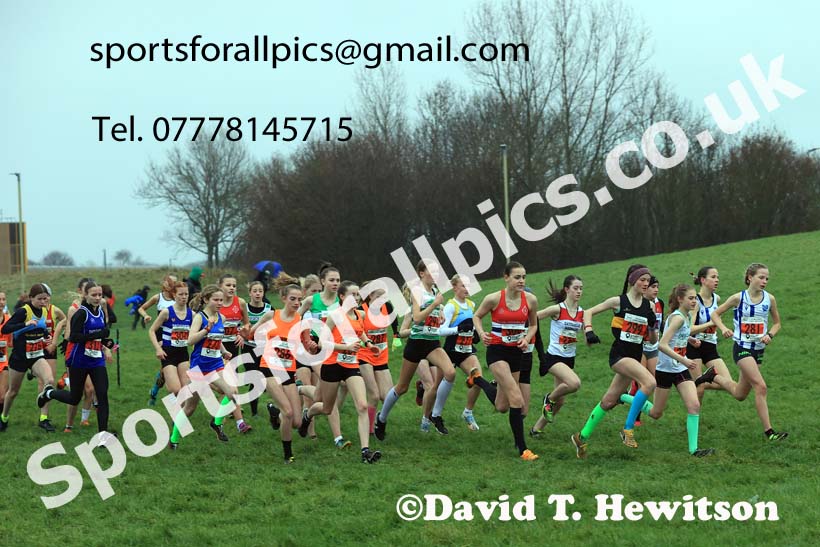 Girls under-15s 2023 North Eastern Cross Country Champs., Temple Park, South Shields. Photo: David T. Hewitson/Sports for All Pics